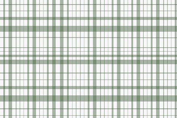 Green and white plaid Green and white plaid