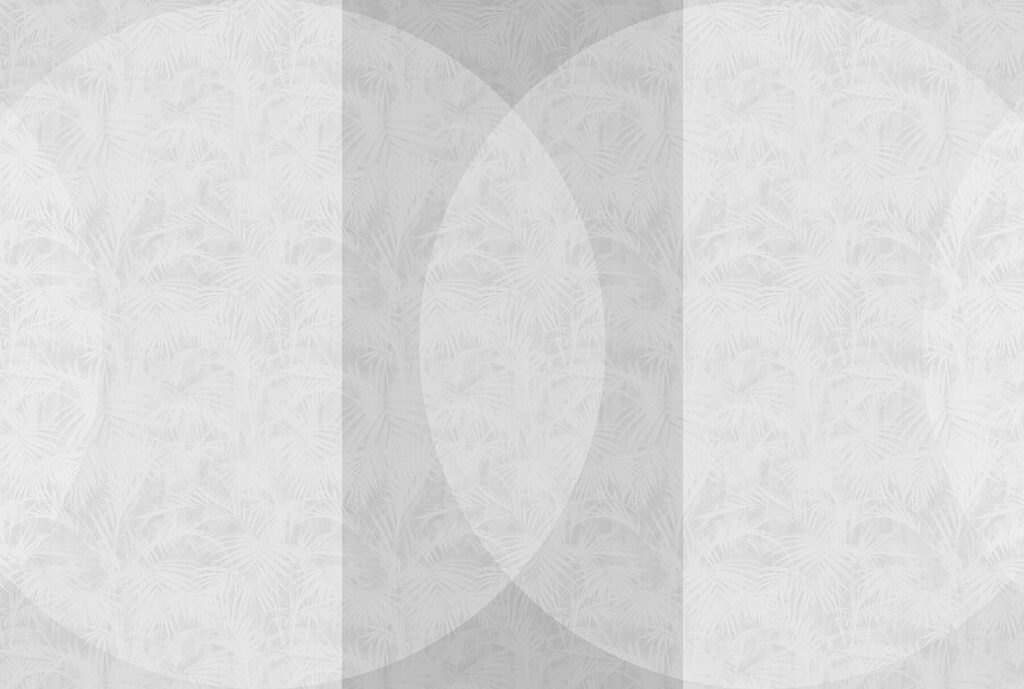 White and grey background White and grey background