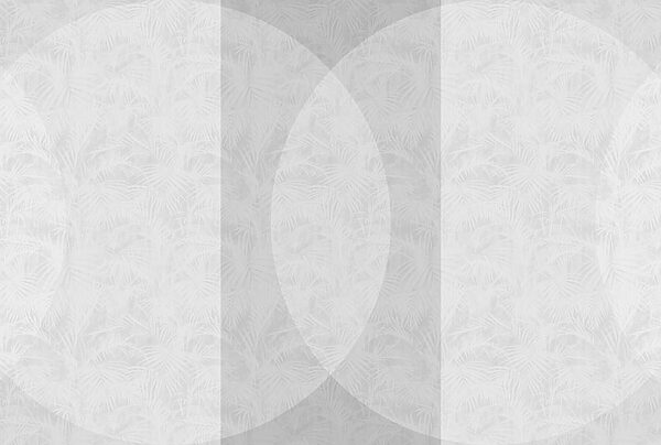 White and grey background White and grey background