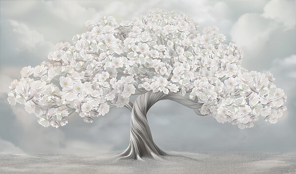 Tree with white flowers Tree with white flowers