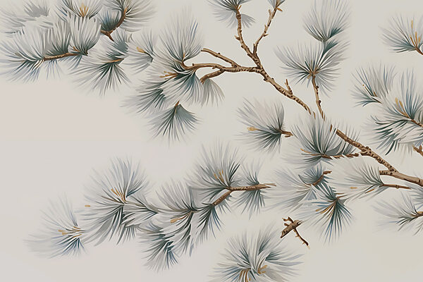 Delicate pine branches on display Delicate pine branches on display