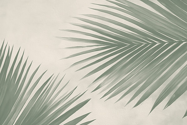 Fresh green palm leaves, nature's touch Fresh green palm leaves, nature's touch