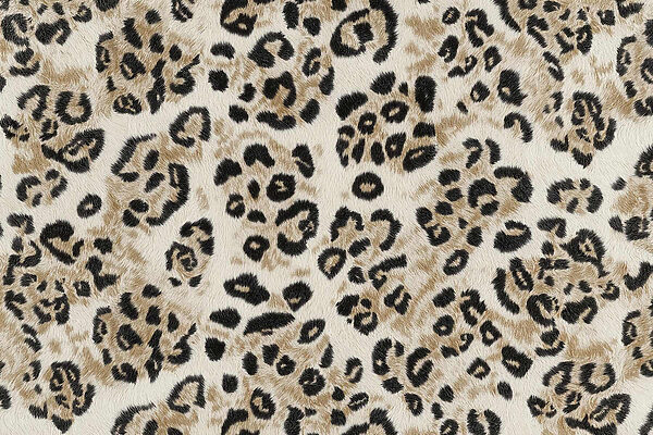 Wild patterns on soft fur texture. Wild patterns on soft fur texture.