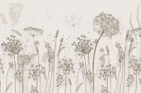 Drawing of flowers and plants Drawing of flowers and plants