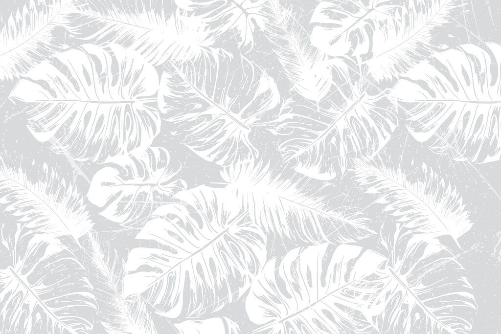 White leaves on a gray background White leaves on a gray background