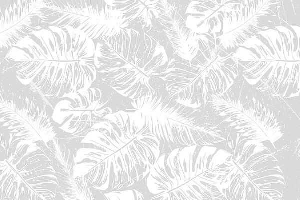 White leaves on a gray background White leaves on a gray background
