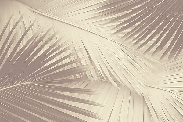 Nature's texture in soft tones. Nature's texture in soft tones.