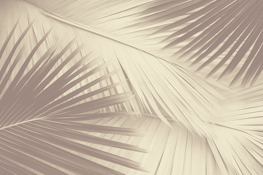Nature's texture in soft tones.