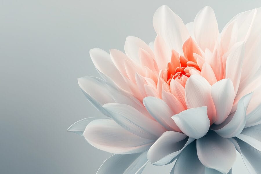 Delicate petals in soft pastel hues Delicate petals in soft pastel hues