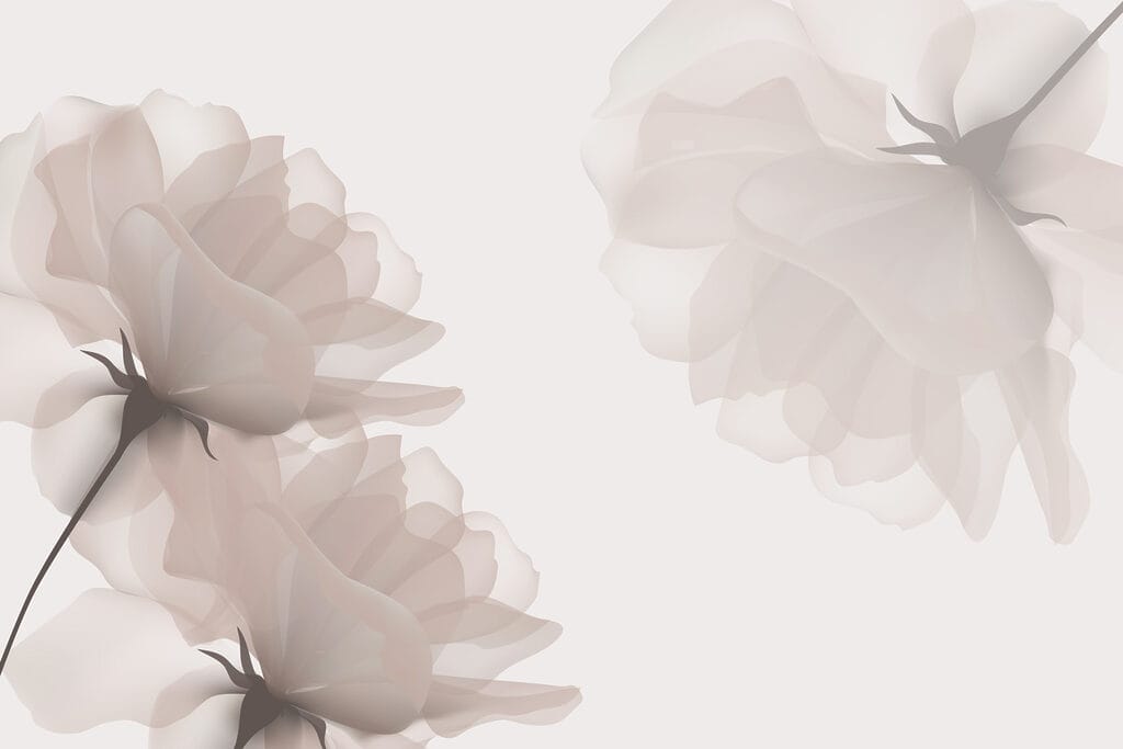 Group of flowers on a white background Group of flowers on a white background