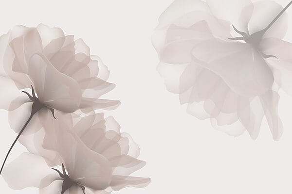 Group of flowers on a white background Group of flowers on a white background
