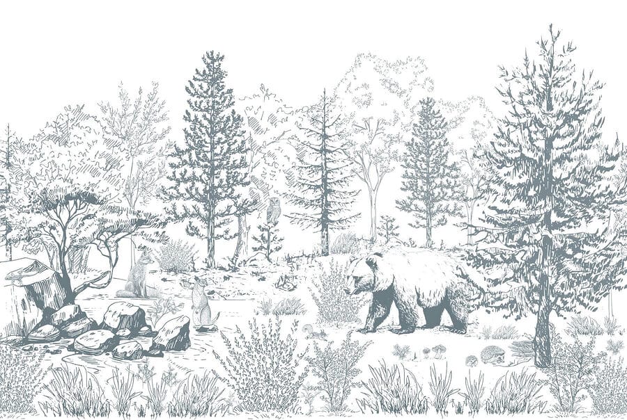 Bear in the woods
