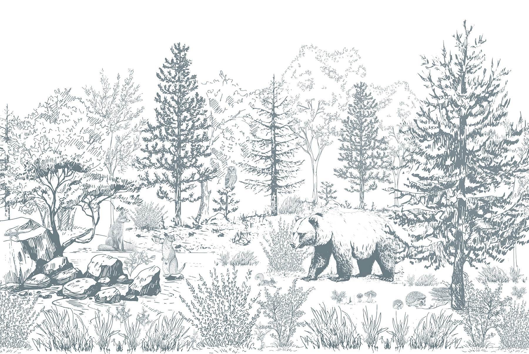 Bear in the woods