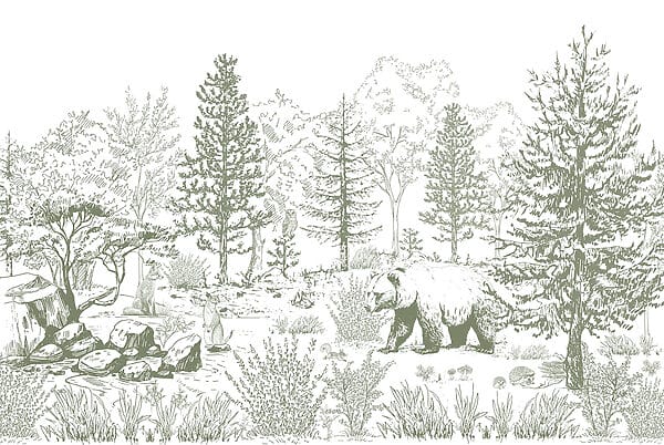 Drawing of a bear in a forest Drawing of a bear in a forest
