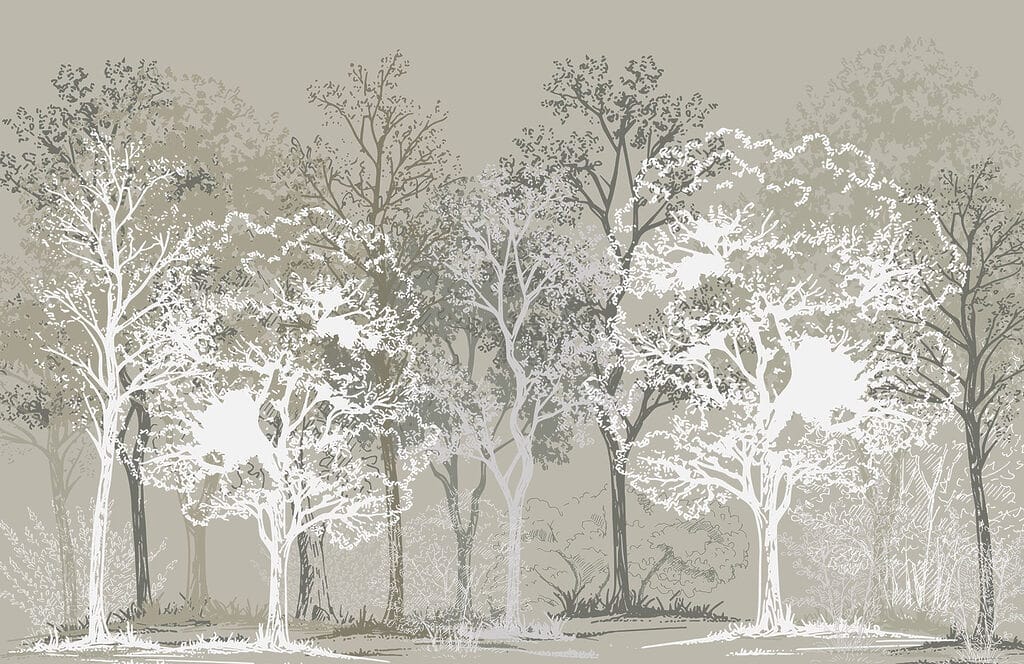 Group of trees in a forest Group of trees in a forest