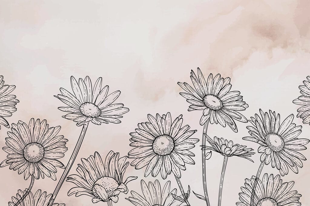 Group of flowers on a white background Group of flowers on a white background
