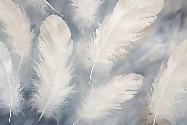 Group of white feathers Group of white feathers