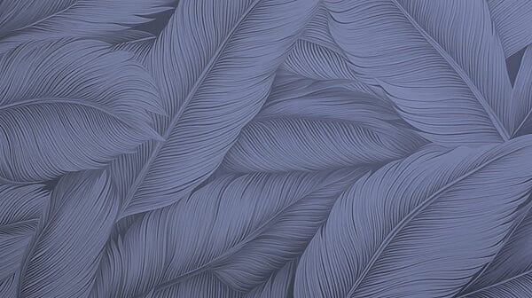 Elegant patterns of soft leaves. Elegant patterns of soft leaves.