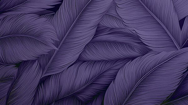 Lush leaves in deep purple hues Lush leaves in deep purple hues