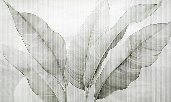 Delicate leaves in soft hues Delicate leaves in soft hues