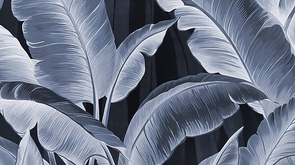 Nature's elegance in monochrome hues Nature's elegance in monochrome hues