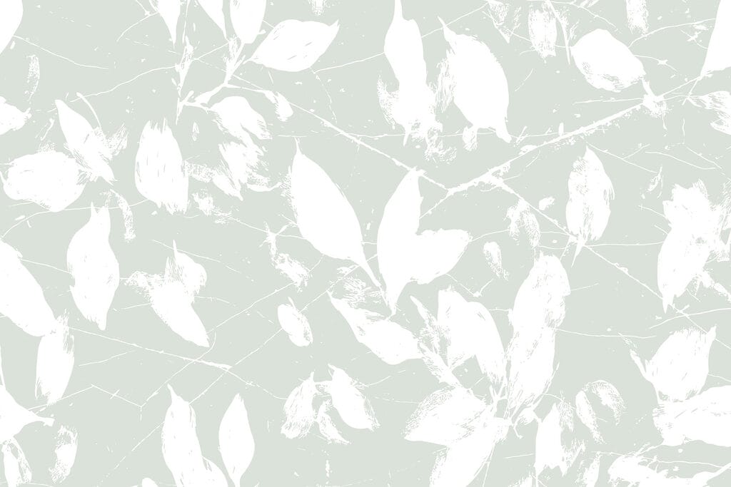 White leaves on a light green background White leaves on a light green background
