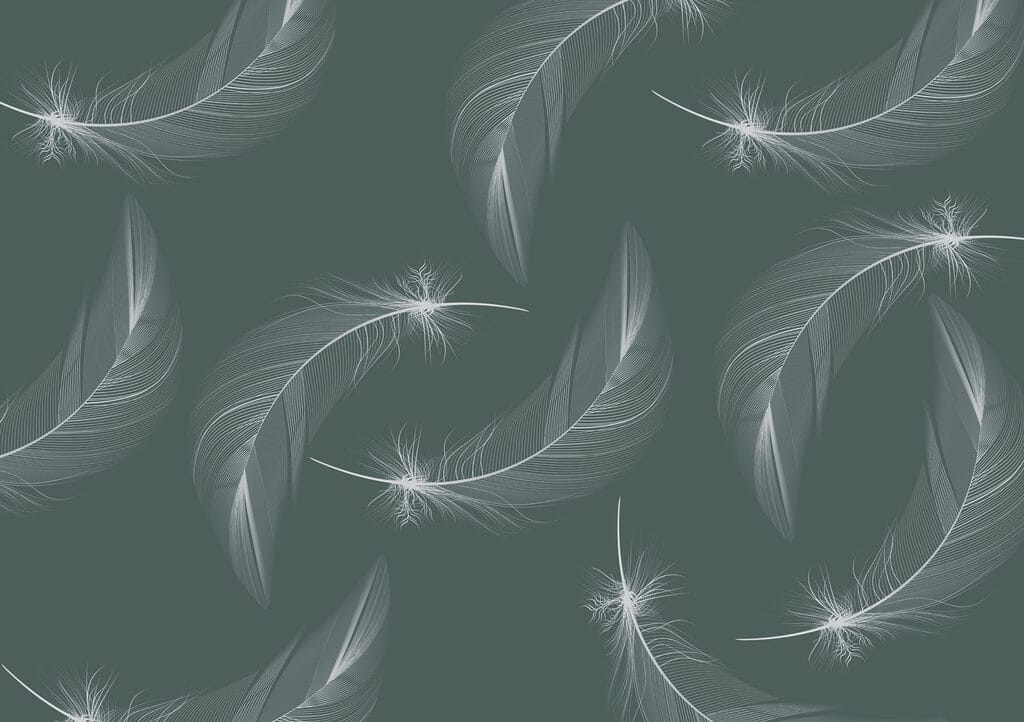 Pattern of white feathers Pattern of white feathers