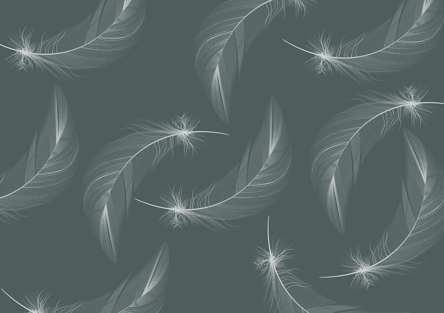 Pattern of white feathers Pattern of white feathers