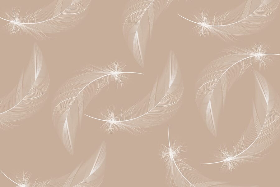 White feathers on a brown background White feathers on a brown background