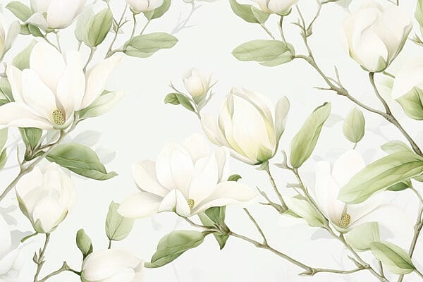 White flowers with green leaves White flowers with green leaves