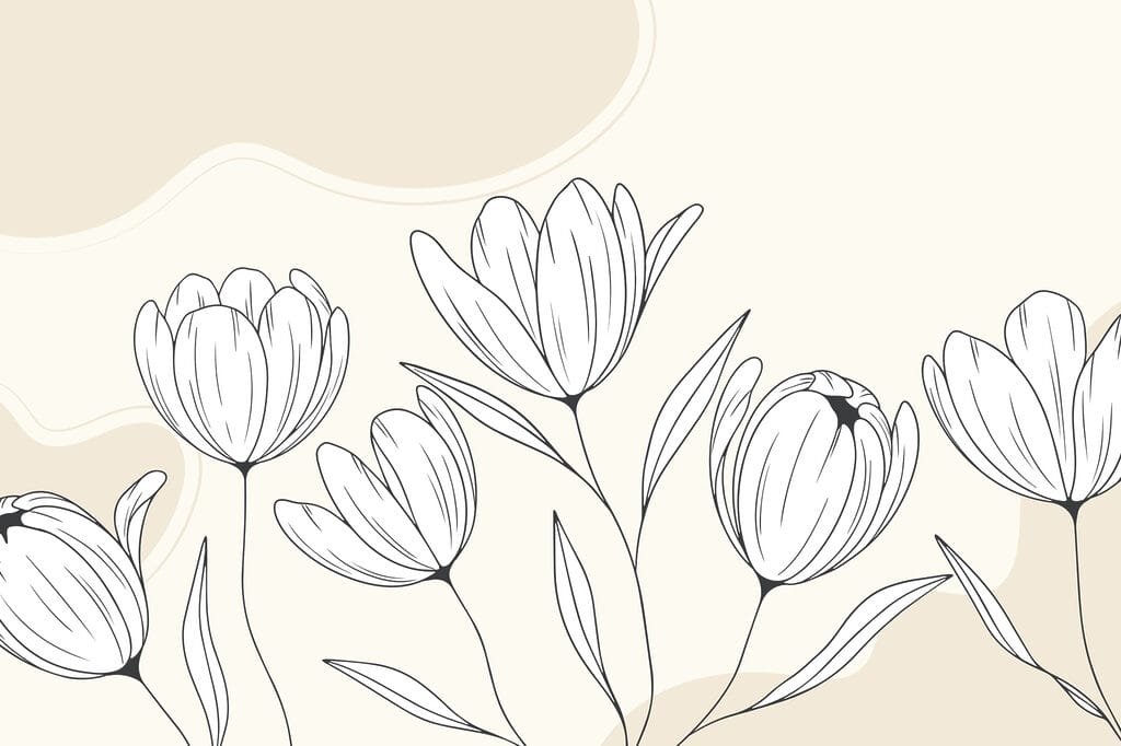 Line drawing of flowers Line drawing of flowers