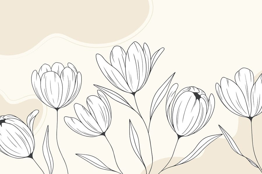 Line drawing of flowers Line drawing of flowers