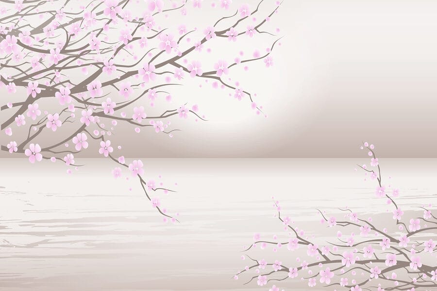 Tree with pink flowers Tree with pink flowers