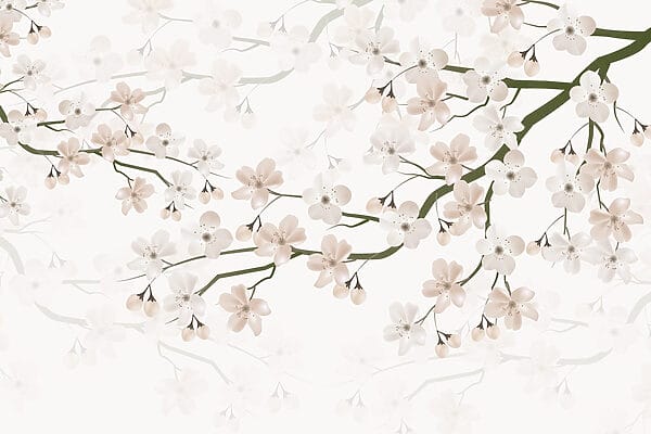 White flowers on a branch White flowers on a branch