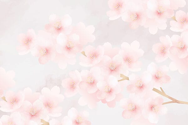 Delicate blossoms in soft hues Delicate blossoms in soft hues