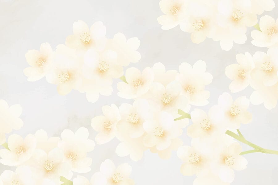 Group of white flowers Group of white flowers