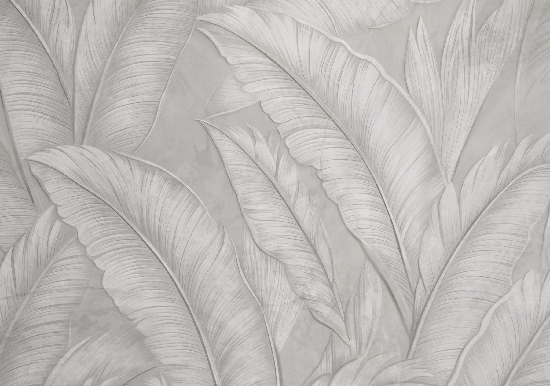 White wallpaper with feathers White wallpaper with feathers
