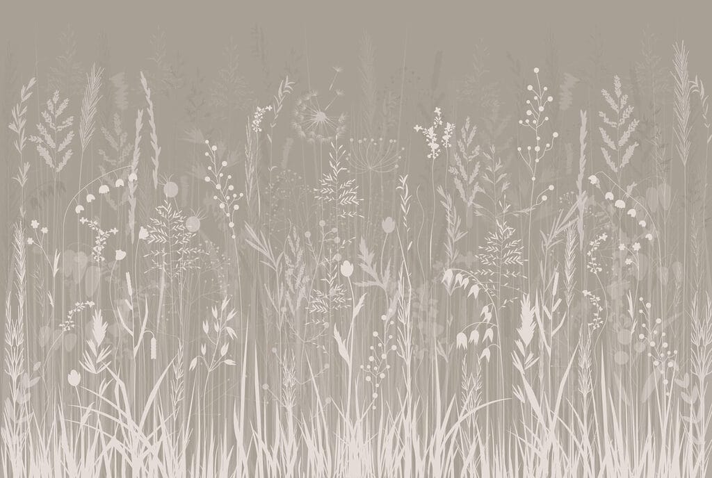 Field of grass and flowers Field of grass and flowers