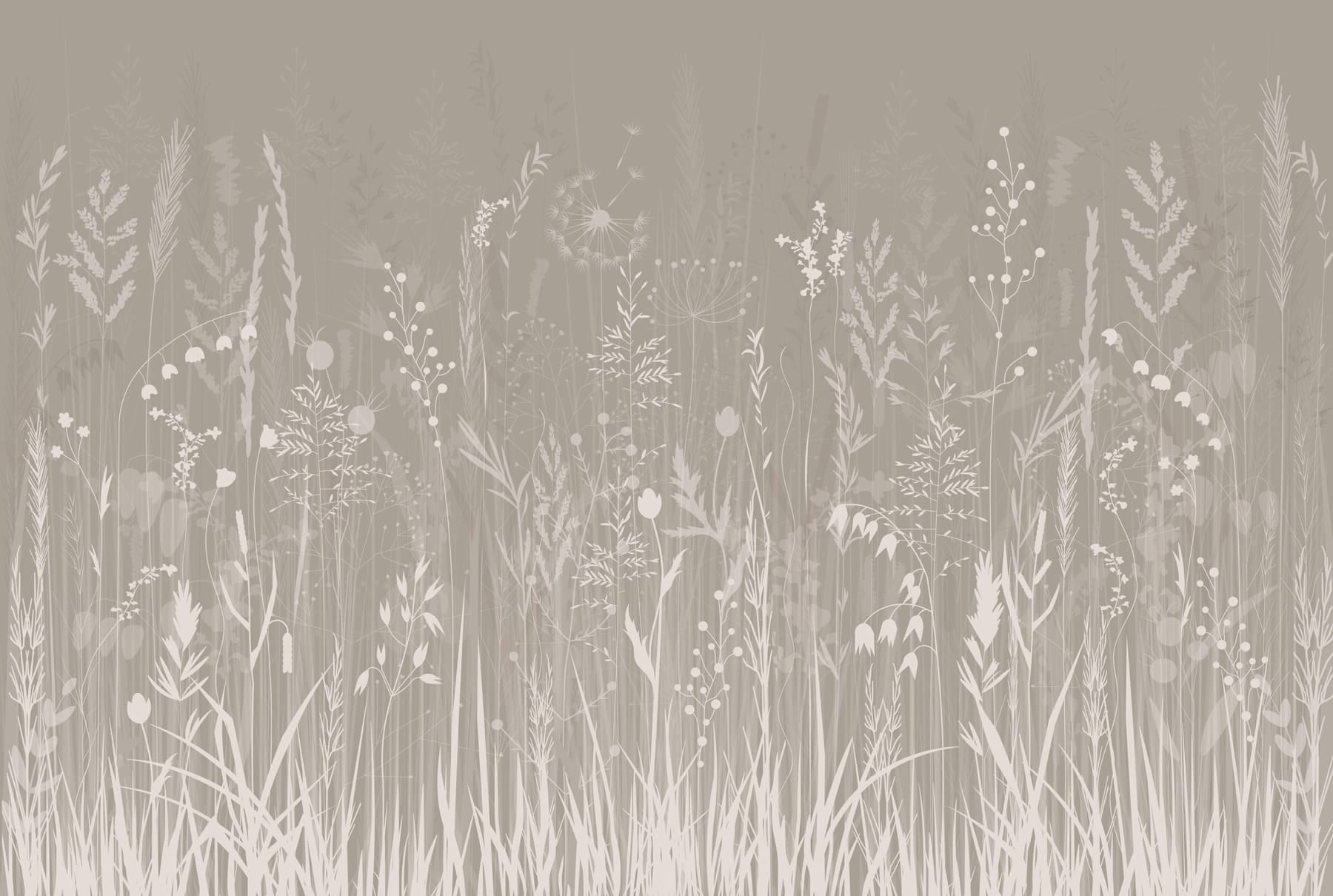 Field of grass and flowers Field of grass and flowers