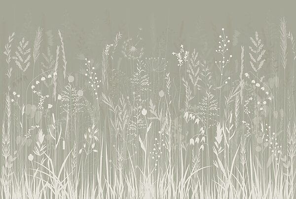 Field of grass and flowers Field of grass and flowers