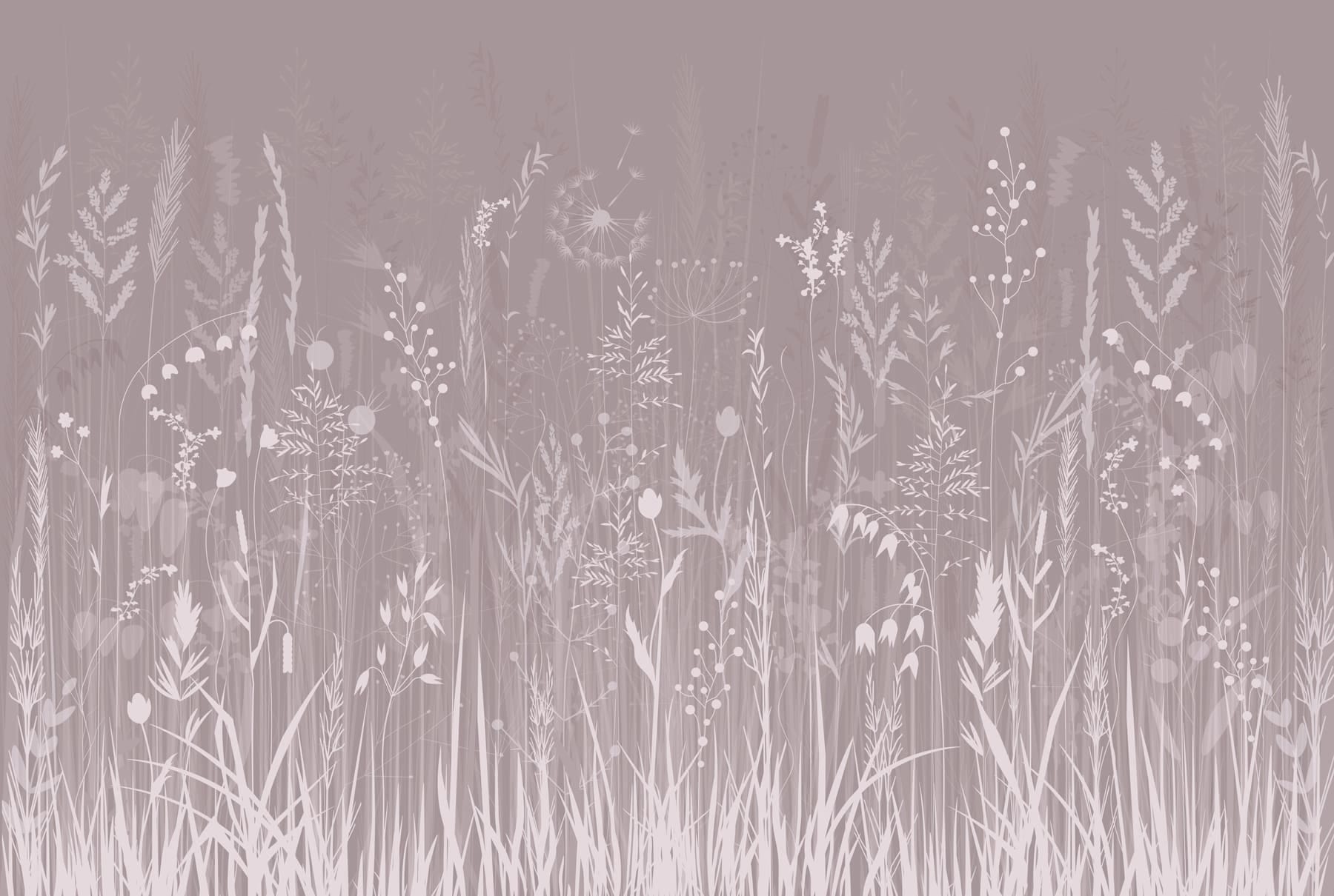 Field of flowers and grass Field of flowers and grass
