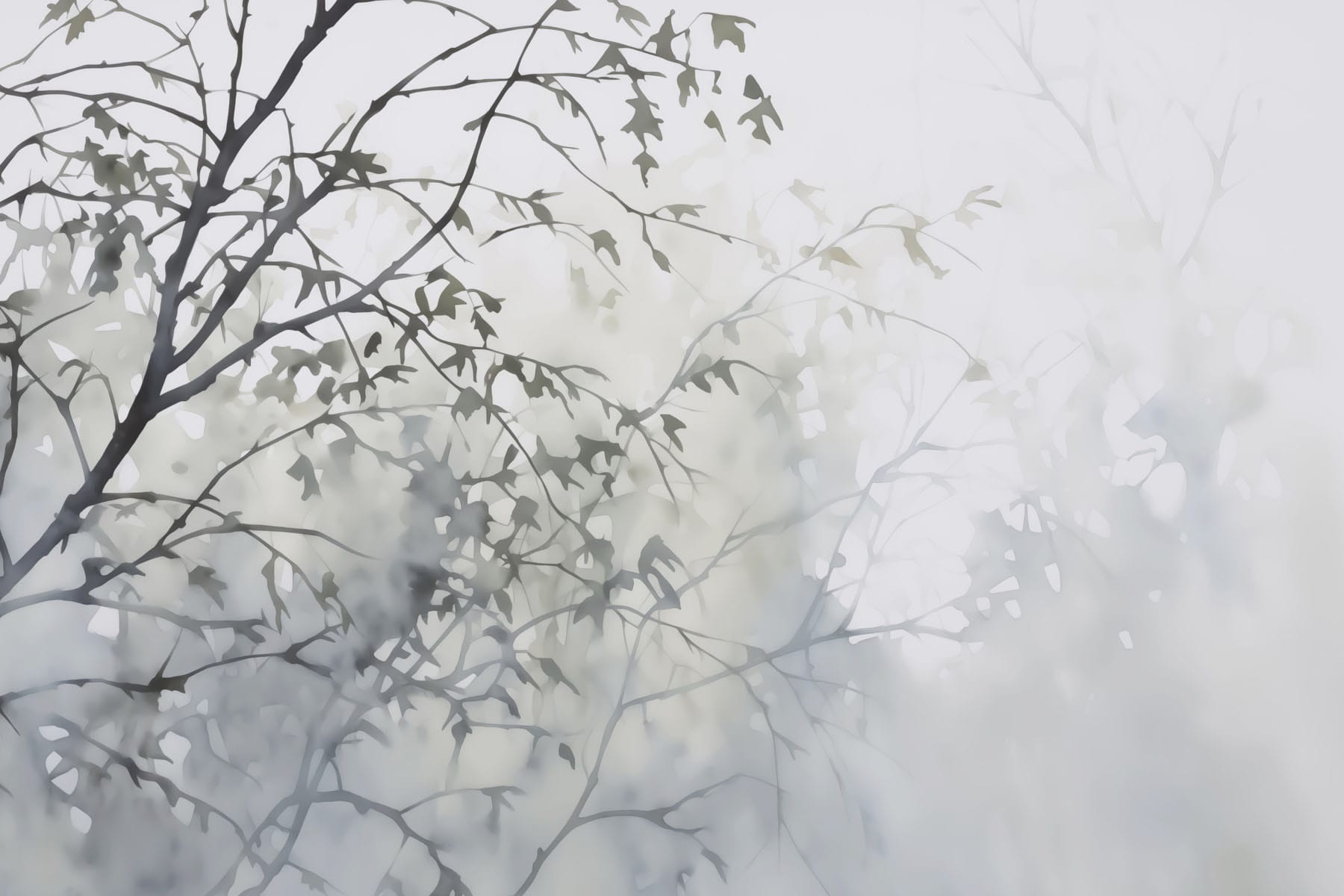 Tree with leaves in fog Tree with leaves in fog
