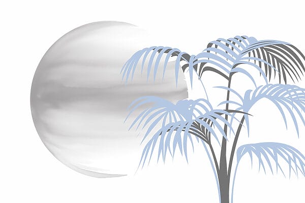 Tree with leaves and a round white circle Tree with leaves and a round white circle