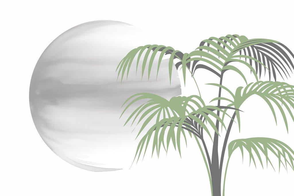Palm tree and a round white sphere Palm tree and a round white sphere