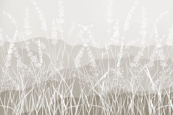 Field of grass with a mountain in the background Field of grass with a mountain in the background