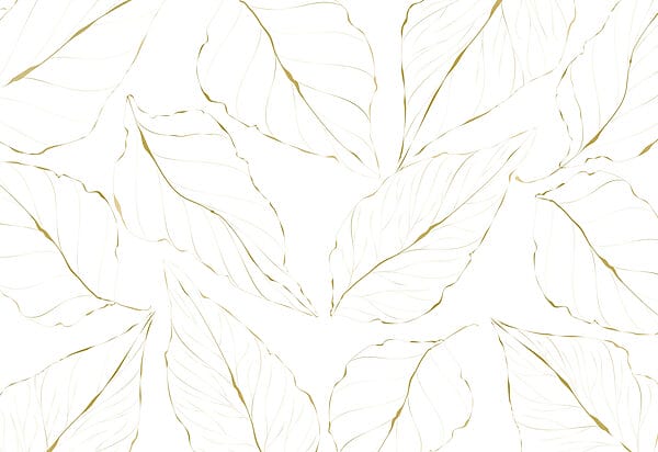 Pattern of leaves on a white background Pattern of leaves on a white background