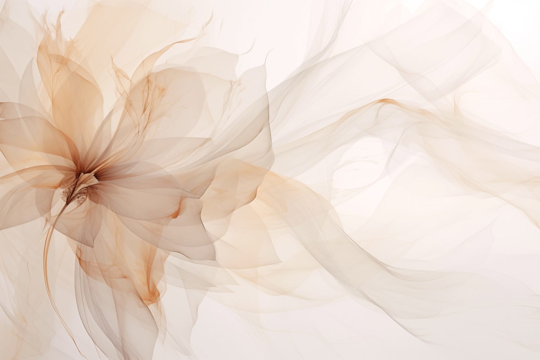 Delicate blooms in soft hues Delicate blooms in soft hues