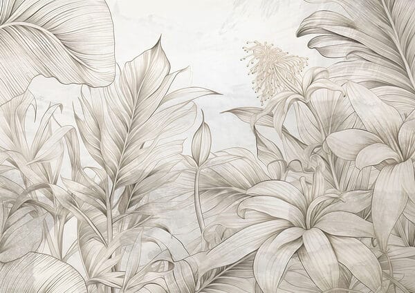 Nature's embrace in monochrome hues. Nature's embrace in monochrome hues.