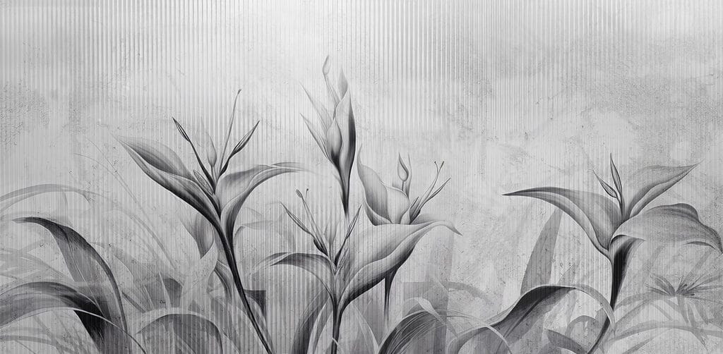 Black and white image of flowers Black and white image of flowers
