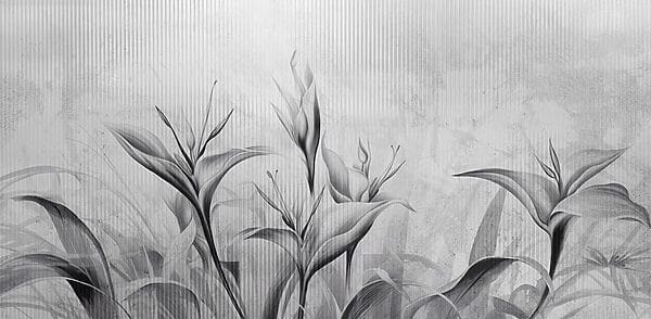 Black and white image of flowers Black and white image of flowers
